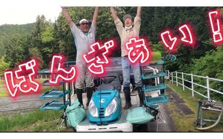 543. 農家直送「山ちゃんのお米」コシヒカリ20kg