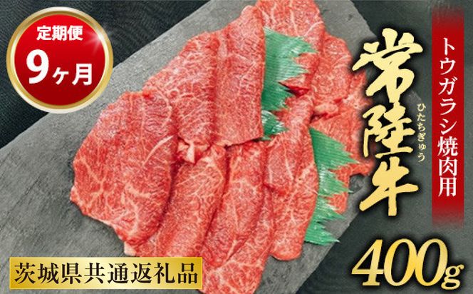 【定期便 9ヶ月】【希少部位】常陸牛トウガラシ焼肉用400g（茨城県共通返礼品 茨城県産）