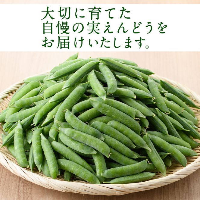 ＜先行予約受付中！2027年1月上旬以降順次発送予定＞期間限定！実えんどう (約1.5kg) 国産 鹿児島県産 ハウス栽培 野菜 旬 豆 マメ まめ エンドウ 豆ごはん ポタージュ 期間限定 数量限定 季節限定 【東新グリーンファーム合同会社】akn062-13