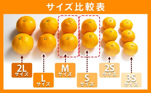 みかん 山北みかん S・Mサイズ 約5kg（40～60個程度） 山北みらい 秀品 - 果物 フルーツ 柑橘類 温州みかん ミカン 蜜柑 甘い おいしい 美味しい 高知県 香南市 yk-0062