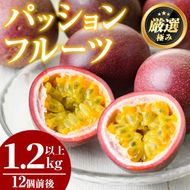 【1005301a】ゆきちゃん農園のパッションフルーツ(1.2kg以上) フルーツ 果物 果実 1キロ 期間限定【ゆきちゃん農園】