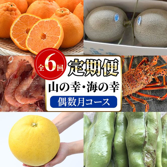 ＜定期便・全6回(偶数月)＞阿久根市の山の幸・海の幸！不知火・そら豆・タカエビ・メロン・伊勢えび・ぼんたんなど)国産 柑橘 みかん フルーツ 果物 魚介 頒布会【松永青果】akn053-38