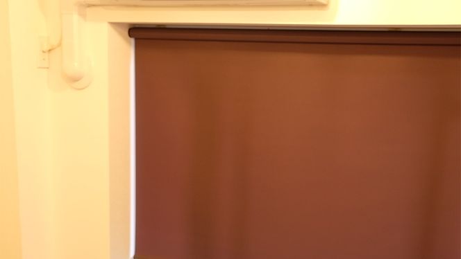 y錧΂݂炢szTOSO [XN[ {[`F[ Ռn 180cm×220cmiuEjuCh VvCeA Ռ ՔM fʃXN[ [BD179-NT]