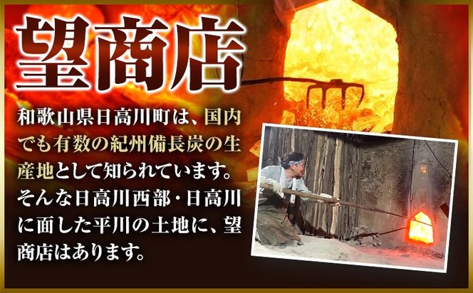 【炊飯・飲料水用】紀州備長炭8本入り 望商店 《30日以内に出荷予定(土日祝除く)》 和歌山県 日高川町 備長炭 紀州備長炭 炭 炊飯 飲料---wshg_nzm13_30d_23_12000_8h---