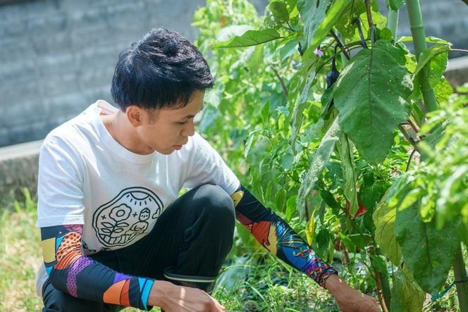 【先行予約・2026年7月発送】京ブランド野菜・賀茂茄子（かもなす）12個 約3kg 261009_A-DA003