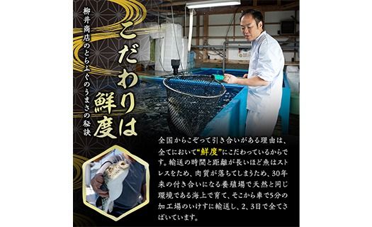 【期間限定・ふぐ皮付】＜ 訳あり ・ 簡易包装 ＞ ふるさと納税限定 冷凍 豊後 とらふぐ刺身・コンパクト 真空 パック 皿無し (4-5人前) とらふぐ ふぐ フグ ふぐ刺し フグ刺し ふぐ刺身 フグ刺身 刺身 冷凍 厚切り 養殖 国産 【AB228-G】【柳井商店】