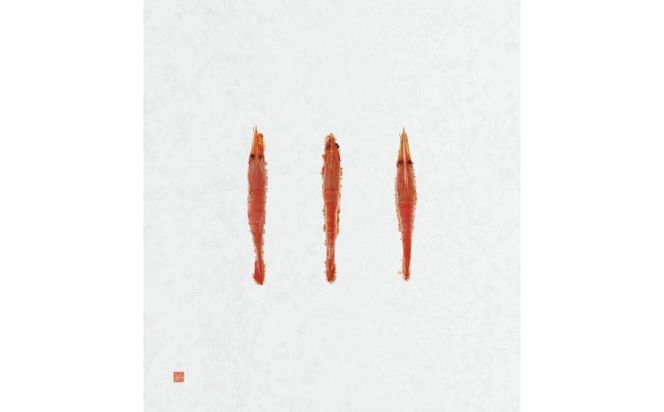 メディア等でも話題！桂新堂 海老一会(4カップと4袋入）  232238_Z024-PR