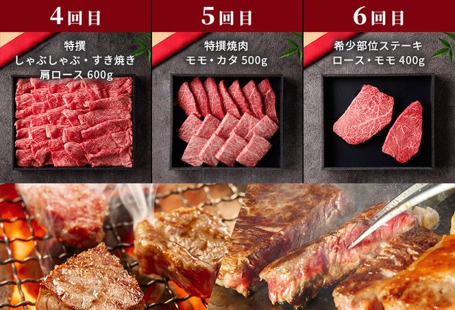 990.【和牛セレブ（鳥取和牛定期便：6回）】レギュラークラス《検索用ワード:牛肉 すき焼き ステーキ しゃぶしゃぶ 焼き肉 焼肉》 313726_BM023