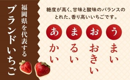 【先行予約】糸島産【冬】 あまおう 4パック 【2024年12月上旬以降順次発送】《糸島》【南国フルーツ株式会社】