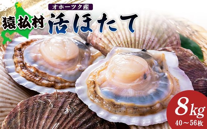 ykCzuقāv8kgi40`56j@Iz[cNYy1601301z