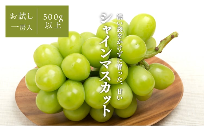 【2026年先行予約】旬採り桃とシャインマスカットどっちも食べたい便！２回便(定期便) (岡山県産)【KF-T012-04】
