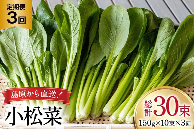 y茧szAI329  3  10 [  ܂ ₳ ① t c_ 茧 s ]