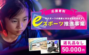 ON0014 【返礼品なし】eスポーツの発展と共生社会を実現をめざす！eスポーツ推進応援寄附（大阪府泉佐野市）　