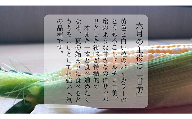 【 先行予約 】リピーター続出！ とうもろこし 【 ドルチェ甘美 】約5kg 8～10本 トウモロコシ 甘い 野菜 採れたて 朝採り 農家直送 袋井市 静岡県