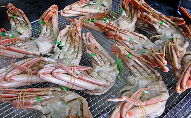 松葉蟹 ほぐし身（大） 活き蟹 900g級使用 甲羅盛り 〈お申込み～2026年7月中旬発送〉 蟹 カニ かに 松葉蟹 松葉ガニ ズワイガニ 剥き身 殻なし