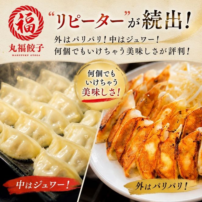 丸福餃子　4種詰め合わせ 夕飯 晩御飯 惣菜 つまみ おかず お酒のお供 冷凍餃子 冷凍 冷凍惣菜 
