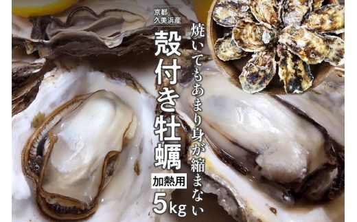 京都・久美浜産　殻付き牡蠣　5kg（50個前後）【加熱用】牡蠣ナイフ付　MN00067