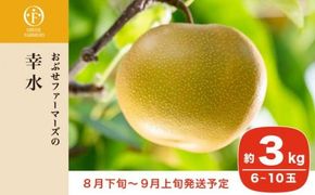 幸水 秀品 約3kg 6〜10玉 [おぶせファーマーズ] なし 果物 フルーツ 長野県産 信州産 令和7年産 【2025年8月下旬～9月上旬発送】［F-47］