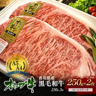 「香川県産黒毛和牛」オリーブ牛ロースステーキ 250g×2枚 牛肉 肉 お肉 和牛 香川 香川県 東かがわ市