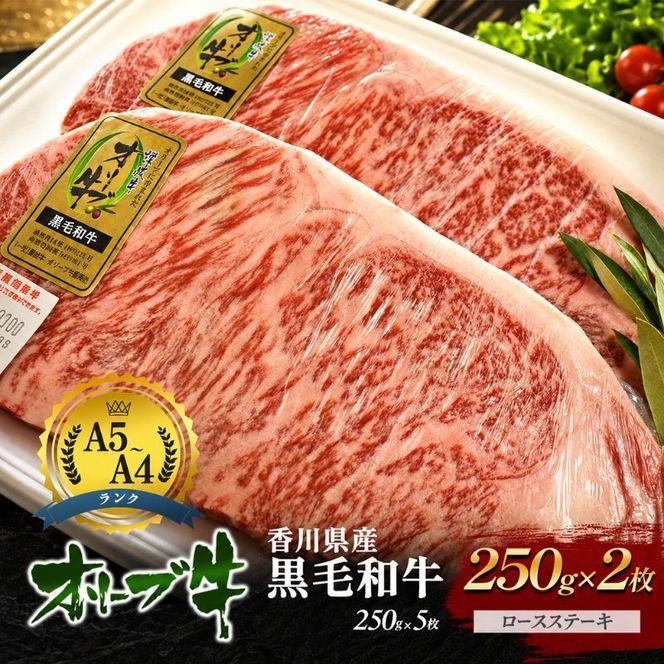 牛肉 オリーブ牛 黒毛和牛 香川県産 国産 瀬戸内 ロースステーキ 250g × 2枚 ロース ロース肉 ステーキ肉 ステーキ 焼肉 バーベキュー BBQ ギフト A4 A5 和牛 牛 うし お肉 肉 ミートショップ 松屋 香川 香川県 東かがわ市