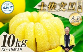 【先行予約】＼果樹園直送／ 贈答品 土佐文旦 約10kg  大玉 4L～3Lサイズ (13～18個入り)〈2027年2月中旬～3月下旬頃発送〉  /【白木果樹園】 [BQAI004]