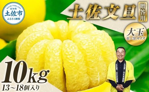 【先行予約】＼果樹園直送／ 贈答品 土佐文旦 約10kg  大玉 4L～3Lサイズ (13～18個入り)〈2027年2月中旬～3月下旬頃発送〉  /【白木果樹園】 [BQAI004]