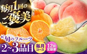 【12回定期便】＜2026年1月～初回発送＞季節の果物 詰め合わせ フルーツセット 旬の果物をお任せで2〜3品目お届け (2〜3品目×12回) / 果物 セット 南島原市 / 吉岡青果 [SCZ014]