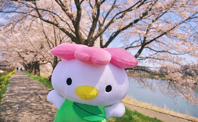 大河原町観光PRキャラクター「さくらっきー」ぬいぐるみ20cm 雑貨 観光地 小物 