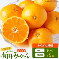 ご家庭用　有田みかん 約5kg (M、Lサイズ)【湯浅町】_AT6304