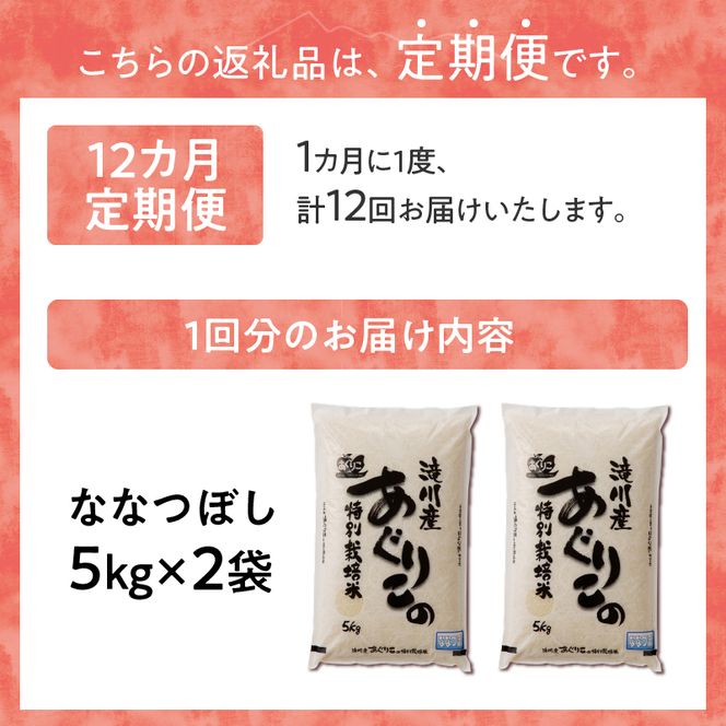 《令和7年産》特別栽培米ななつぼし 10kg×12ヵ月定期便 | 16年連続特A ブランド米 白米 精米 米 お米 こめ 減農薬 単一原料米 ご飯 北海道米 北海道 滝川市