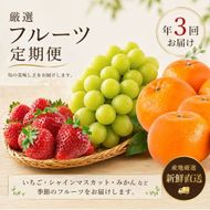【数量限定】旬の特選フルーツ定期便 (シャインマスカット・イチゴ・みかん) 全3回
