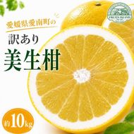 【先行予約】 訳あり 美生柑 みしょうかん 約10kg 河内晩柑 不揃い サイズミックス 傷あり ばんかん フルーツ 果物 くだもの 文旦 晩生柑 厳選 愛媛 みかん 蜜柑 mikan 愛南 ご当地 ブランド 国産 産地 直送 ゼリー マーマレード デザート フルーツアイランド マルエム直販 愛媛県 愛南町
