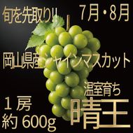 [HS]ぶどう先行予約7月・8月発送温室シャインマスカット晴王1約600g ブドウ 葡萄  岡山県産 国産 フルーツ 果物 ギフト デザート 食後 酸味が少ない 産地直送