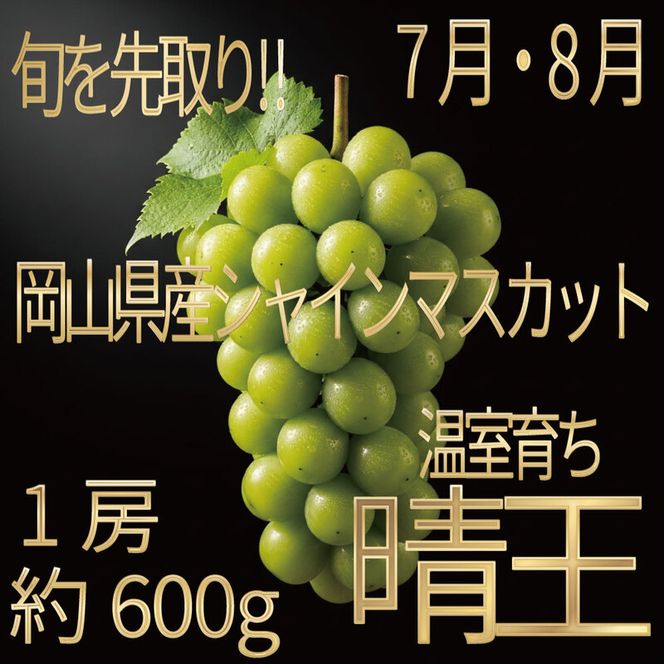 [HS]ぶどう先行予約7月・8月発送温室シャインマスカット晴王1約600g ブドウ 葡萄  岡山県産 国産 フルーツ 果物 ギフト デザート 食後 酸味が少ない 産地直送