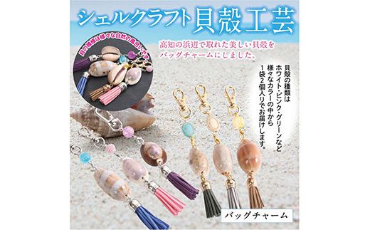 【CF-R7hbk】SCR001　緊急支援 バッグチャーム 2個 シェルクラフト 貝殻工芸 ＜高知の浜辺でとれた美しい貝殻のバッグチャーム＞キーホルダー