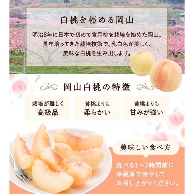 桃 2026年 先行予約 白桃 8玉（2kg以上） 等級：ロイヤル 化粧箱入り もも モモ 岡山県産 国産 フルーツ 果物 セット ギフト 