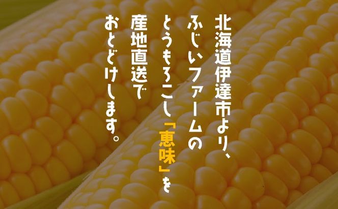 ＜先行予約＞北海道産 とうもろこし 恵味 Lサイズ 20本 | トウモロコシ とうきび コーン スイートコーン 国産 野菜 人気 ふじいファーム