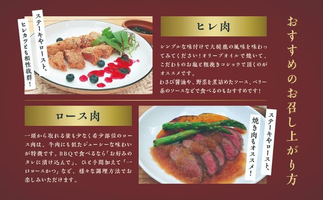【希少部位2点セット】大槌鹿ヒレ肉150g×1パック・ロース肉200g×1パックセット【ステーキ・ロースト・ヒレカツに】岩手県産 天然鹿 鹿肉 ジビエ ヘルシー 低カロリー 冷凍 赤身