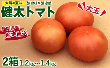 【先行受付】太陽の夏味 健太トマト 約1.2kg～1.4kg×2箱 ｜ 大玉トマト トマト とまと 甘い 野菜 やさい リコピン ヘルシー 新鮮 産地直送 ※2025年7月下旬頃～9月中旬頃に順次発送予定