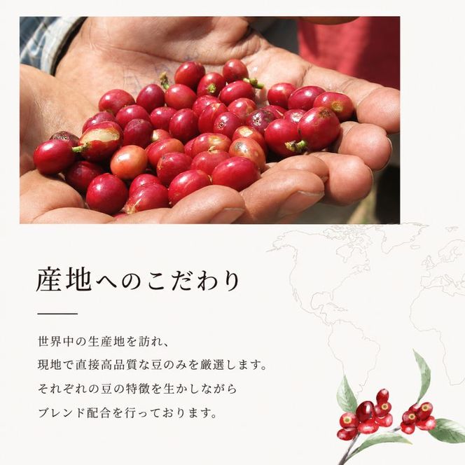 コーヒー 丸山珈琲 コーヒーバッグ ナッツ 深煎り 5個入 飲料 コーヒー粉 パック 珈琲