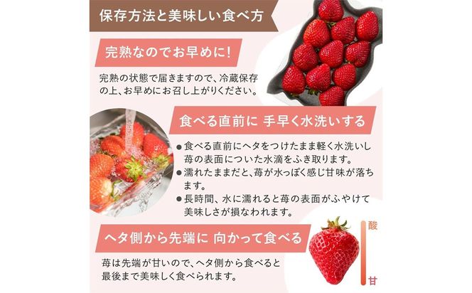 【先行予約】オーガニックあまおう 「いせいちご」 おまかせ4パック（大粒）【伊世いちご畑】_HA1019