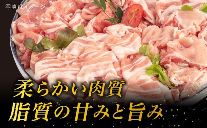 【 全6回 定期便 】 【 しゃぶしゃぶ 食べ比べ 】 1.5kg × 6回 糸島産豚肉 《糸島》【糸島ミートデリ工房】 [ACA152]