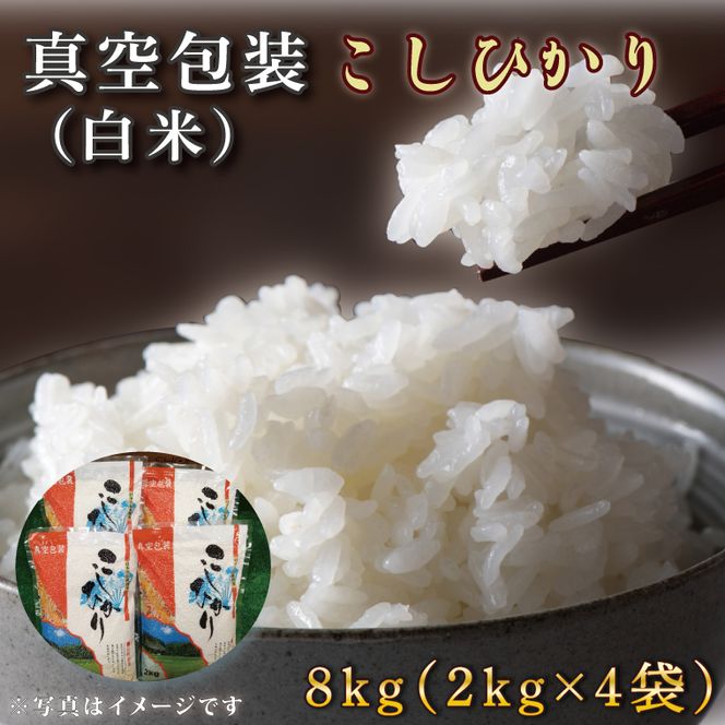 ★真空包装★R7年産こしひかり 8kg(2kg×4袋)【白米】｜米 こめ お米 コシヒカリ こしひかり 真空 真空包装 白米 人気 個包装 茨城県 行方市 送料無料(CZ-8-2)