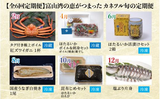 【数量限定】富山湾の恵がつまった カネツル旬の定期便（ホタルイカ、紅ズワイガニ、えび、ぶり、国産うなぎ）【(有)カネツル砂子商店】