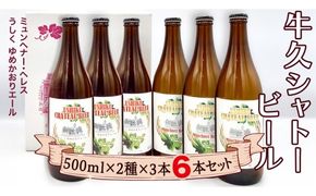 牛久シャトー ビール 6本セット 地ビール クラフトビール お酒 おしゃれ おいしい 美味しい 飲み比べ 宅飲み 家飲み 誕生日 お取り寄せ 詰め合わせ セット お土産 お祝い 贈り物 ギフト 贈答 記念日 国産 茨城 [AP003us]