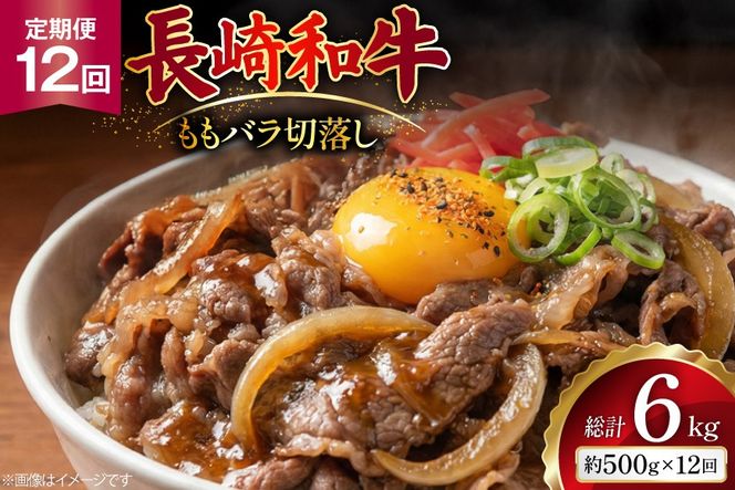 AJ576 【12回定期便】長崎和牛 切り落とし (もも・バラ) 約500g [ 肉 牛肉 和牛 高級 おいしい ステーキ肉 まるしん商会 黒牛 長崎県 島原市 ]