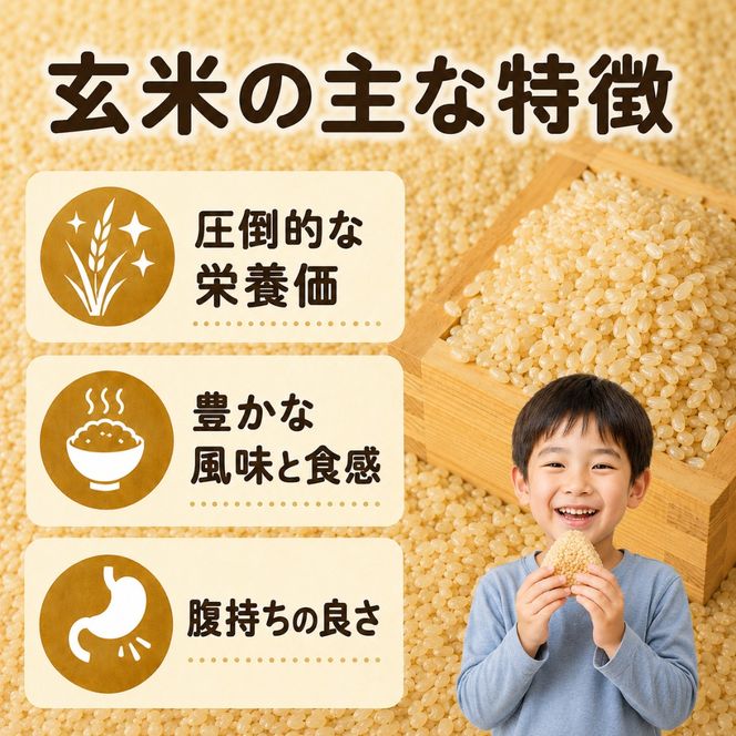 【先行受付】 玄米 令和8年産 こしひかり 選べる 5kg 10kg 安芸産 定期便 6回 4回 3回 1回 お米 精米 新米 ごはん ご飯 高知県産 弁当 おにぎり 料理 新嘗祭皇室献上米 令和8年  健康志向 もちもち食感 美味しい 農家直送 先行予約 おにぎり 高級米 ブランド米 冷めても美味しい 炊き立て 食べ比べ 人気 おすすめ 贈答用 ギフト お米の定期便人気 安芸市 高知県