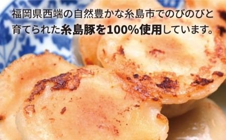 【年内発送】元祖・糸島豚籠包 18個入り(6個×3箱) 糸島市 / 食工房たまひろ [ASA003] 豚 ブタ ぶた 小籠包 中華 おかず グルメ お取り寄せ 送料無料