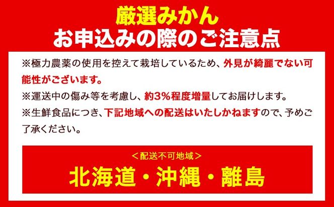 ＜先行予約＞厳選　超熟有田みかん3kg+90g（傷み補償分）【自分史上一番みかん】【光センサー選果】池田鹿蔵農園@日高町（池田農園株式会社）《11月上旬-12月末頃出荷》和歌山県 日高町【配送不可地域あり】---wsh_idn68_11j12m_24_10000_3kg---