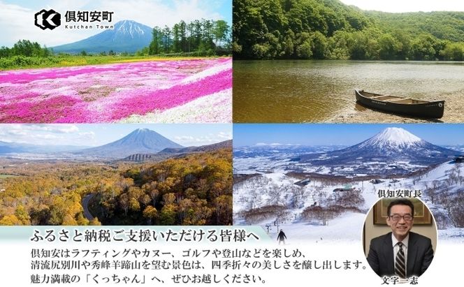 【 2026年 出荷 】 北海道産 朝もぎ イエロー とうもろこし 味来 みらい 2Lサイズ 26本 約10kg 夏野菜 とうきび 新鮮 野菜 トウモロコシ 甘い ギフト 産地直送 コーン 産直 グリーンアースファーム